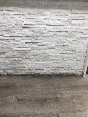 New York Sleep Disorder Center