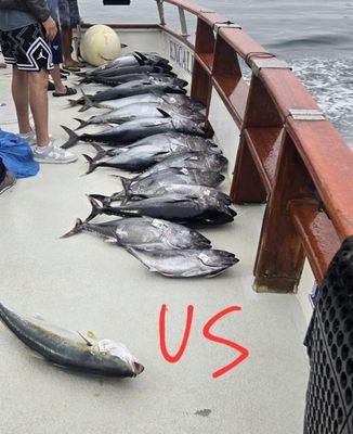 Malihini Sportfishing