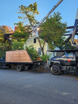 Flannerys Tree Service