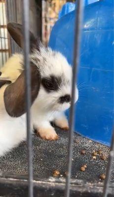 Big Fish Little Fish