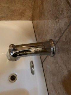 Industrious Cleaners