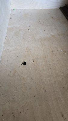 RV Outlet Center of Tulsa