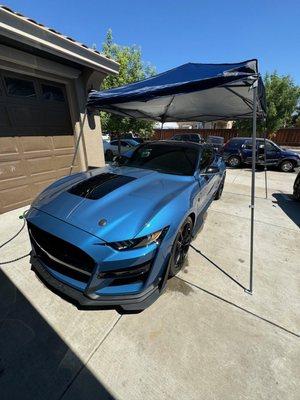 Malik's Mobile Detailing