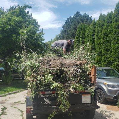 Tree debris being secured in the trailer.