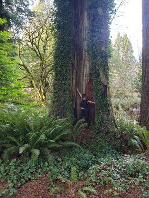 River's Bend Vacation Home