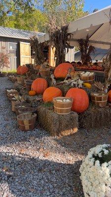 S. E. Daugherty & Sons Farm