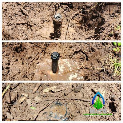 Elite Landscaping & Irrigation