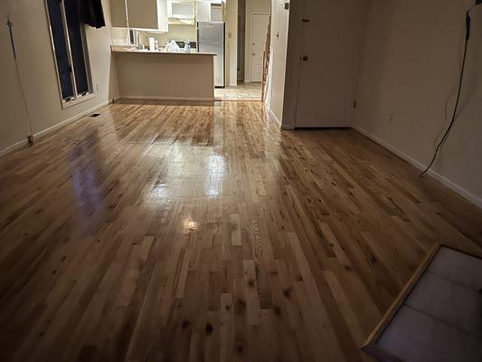 Quality Floor Scraping