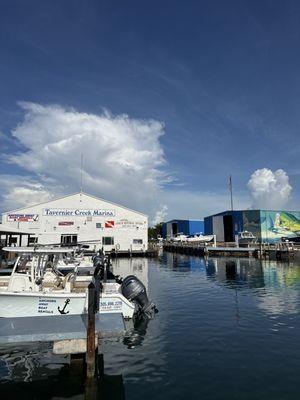 Conch Republic Divers
