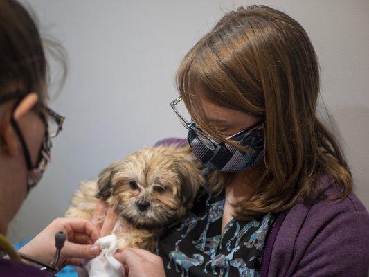 The highest level of affordable veterinary wellness services in Burke County and the surrounding area.