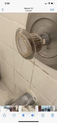 Pine Grove Appartments