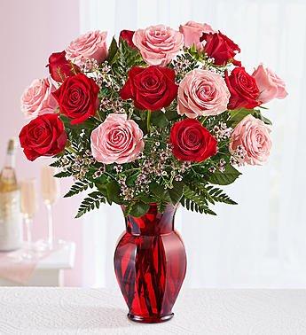 Red and Pink Roses