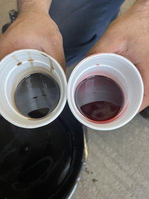 Left side is what was in my transmission right side is supposed to be new fluid