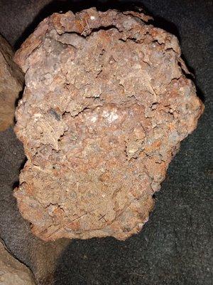 California University-Sci-MDCN