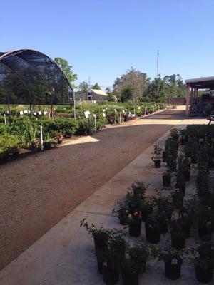 Barretts Garden Center