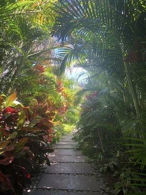 Shades Of Green
