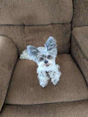 Kay-9 Pet Salon
