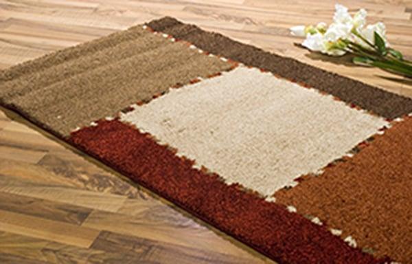 Area & Oriental Rug Cleaning