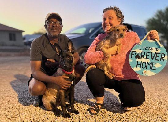 Fred and Judge both adopted through our rescue! They still come back for boarding sometimes!