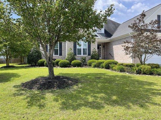 Heavenly Cuts Yard Service