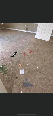 Petrie Carpet Cleaning