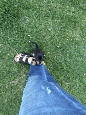 Turner's Veterinary Clinic