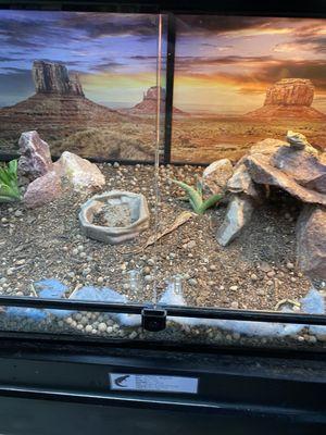 Lots of the dishes had zero food and some has no water. Bone dry.