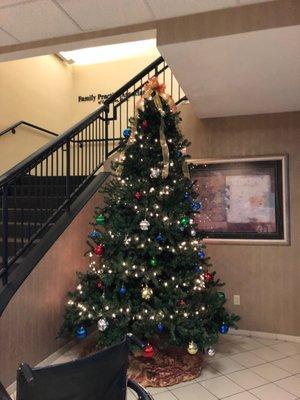 The 2017 Christmas tree