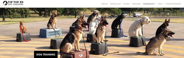 Tip Top K9 Dog Training of OKC