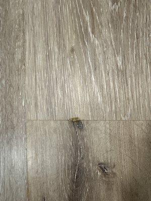 The Oaks at Stock Ranch