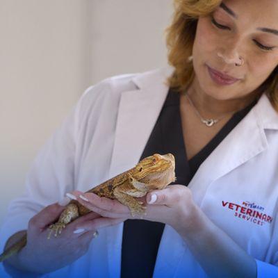 PetSmart Veterinary Services
