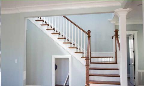 Advance Mold Remediation