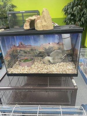 Coral Reef Pet Center