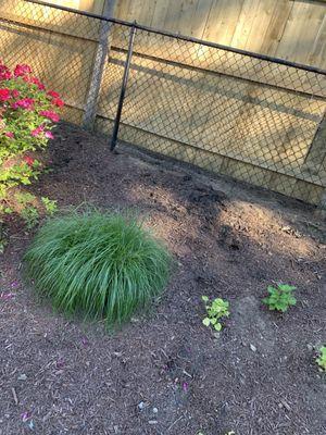 Happy Grass Landscaping