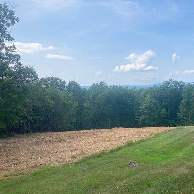 Mark's Arkansas Land Clearing Service