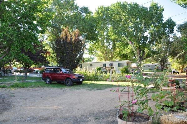 Warren's Auto Repair