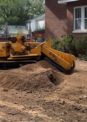 Robyn’s stump grinding