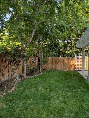 Divine Pine Property Care