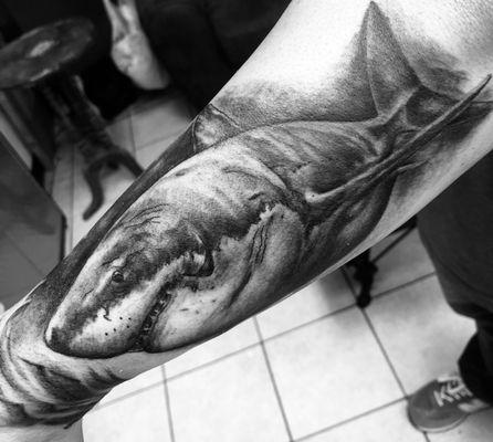 The Lucky Seven Tattoo Co