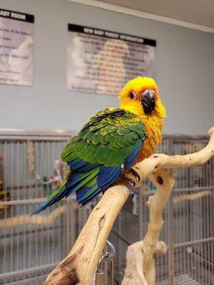 Emergency Response Logistics