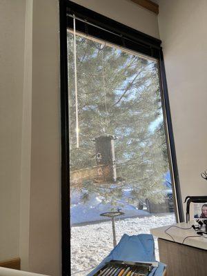 Merry Dental Care Center