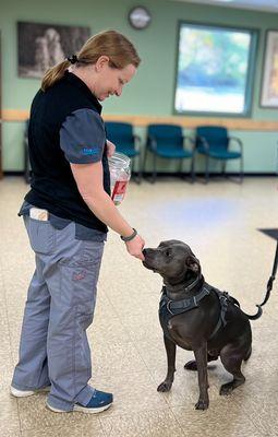 Copake Veterinary Hospital