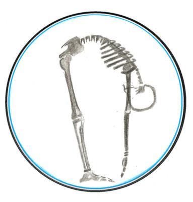 Grimm Physical Therapy - Certified McKenzie Clinic Logo