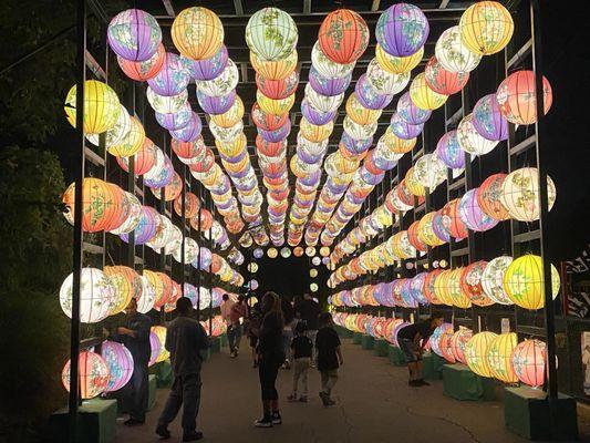 Boston Lights: A Lantern Experience