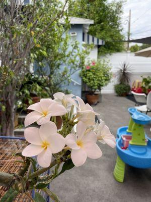 The Lighthouse Christian Preschool