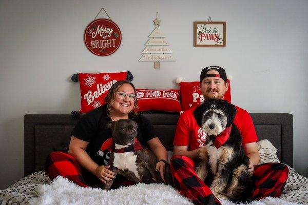 Yorkville Animal Hospital