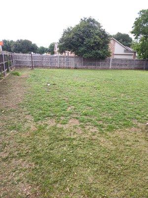 Chris Lawncare And Services