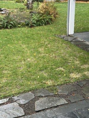 Julian's Construction & Landscape