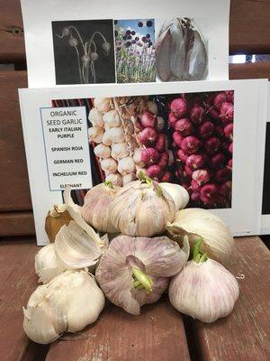 Lovie's Garden Supply