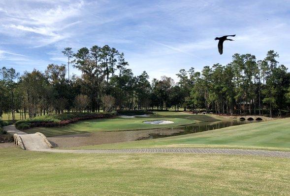 Golden Ocala Golf Course
